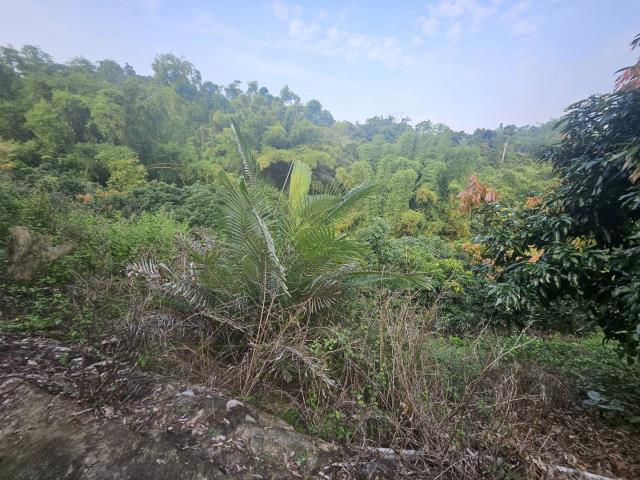 高雄大樹農地-8