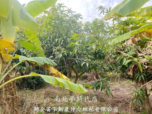 台南新化農地-4