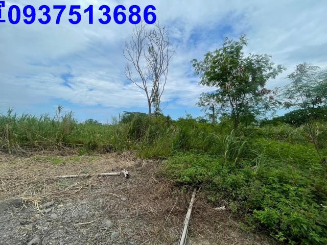 宜蘭宜蘭市農地-1