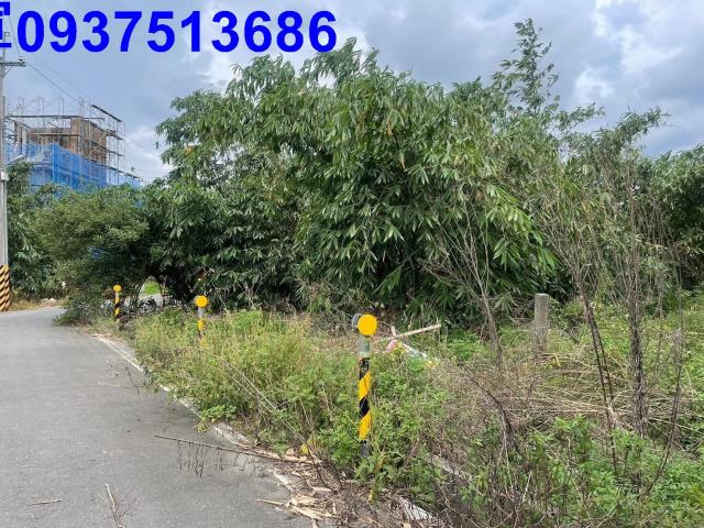 宜蘭宜蘭市農地-8