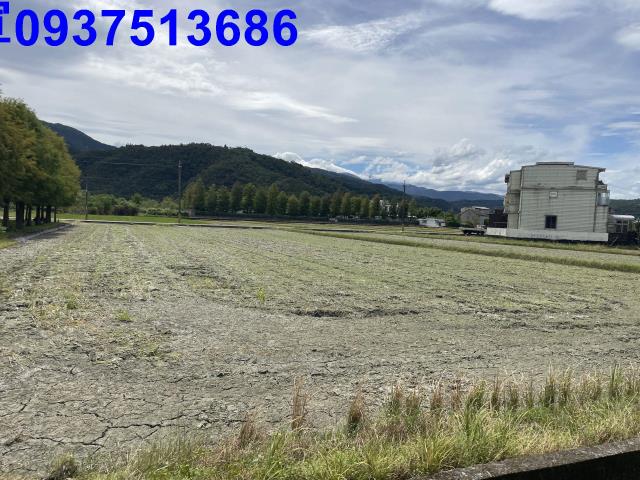 宜蘭冬山農地-7