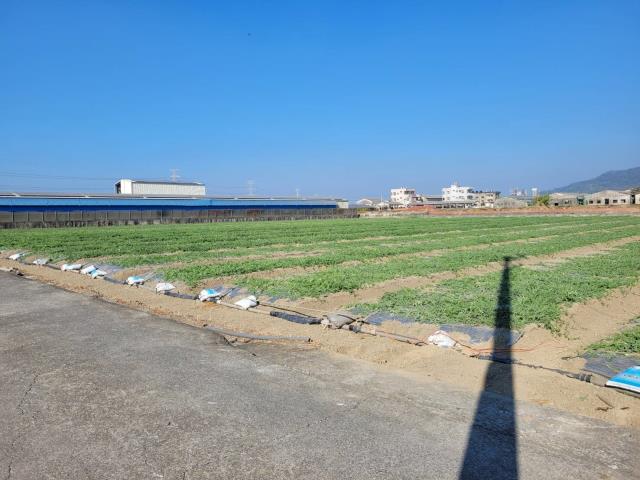 高雄農地-3