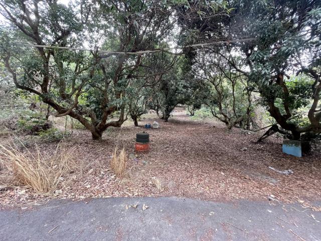 南投南投市農地-4