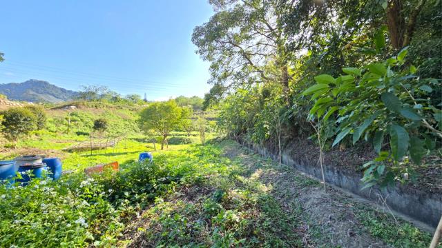 新竹北埔農地-4