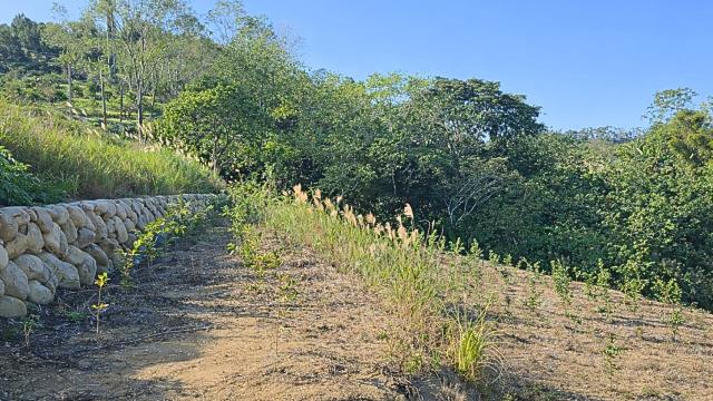 新竹北埔農地-6