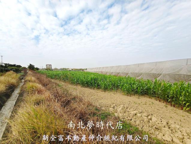 台南柳營農地-5