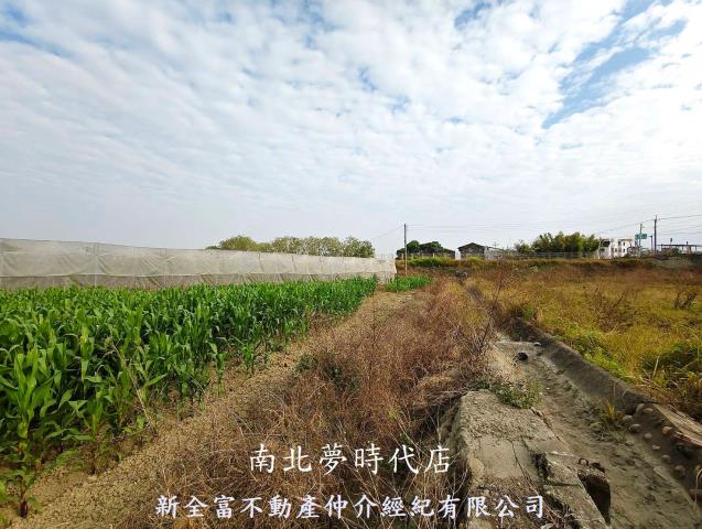 台南柳營農地-7