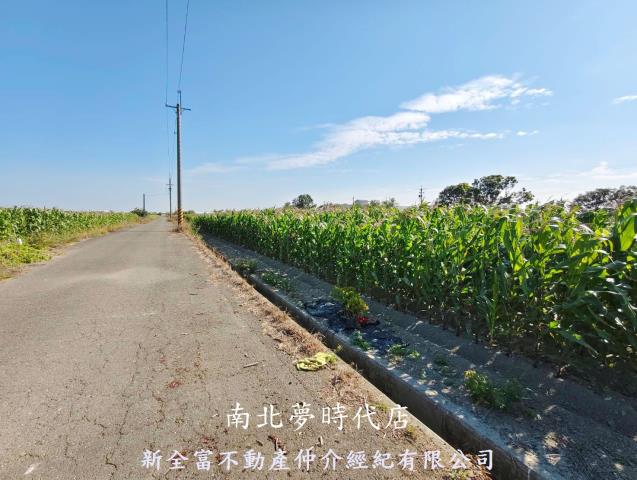 台南鹽水農地-5