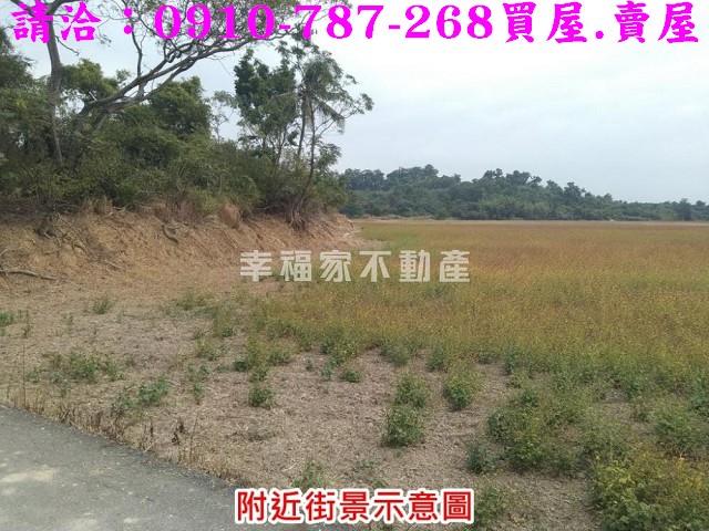 台南官田農地-1