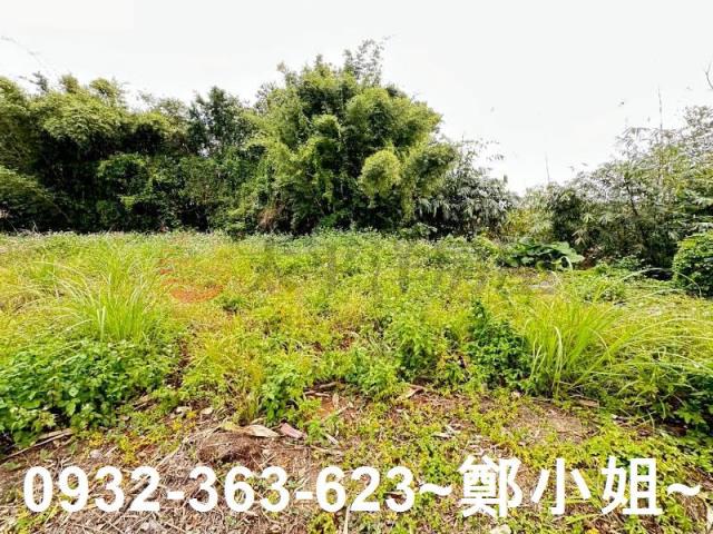 桃園八德農地-2