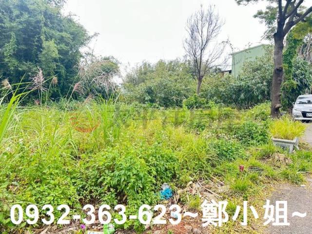 桃園八德農地-6