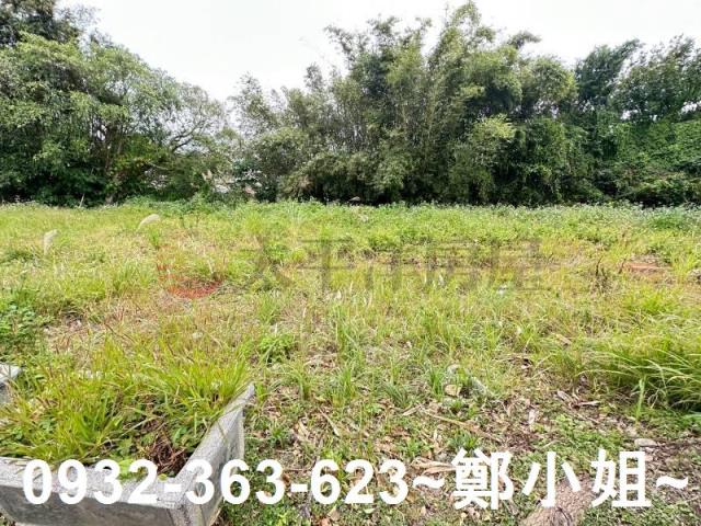 桃園八德農地-8