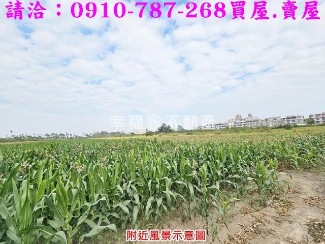 善化農地-12