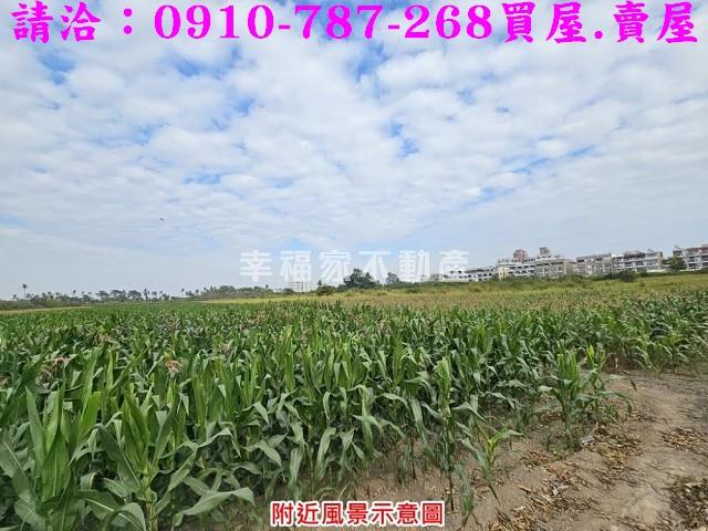 善化農地-14
