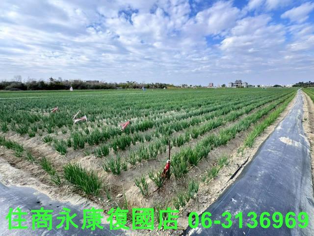 安南農地-2