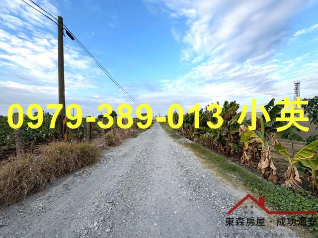 高雄路竹農地-1