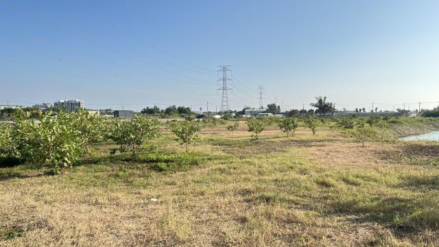 高雄湖內農地-14