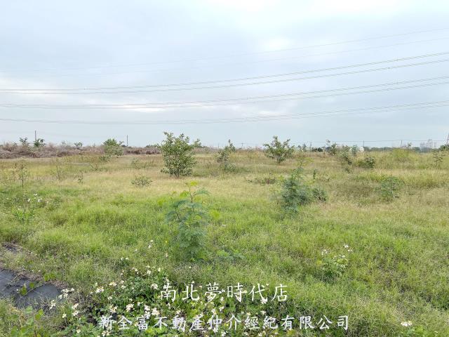 高雄湖內農地-1