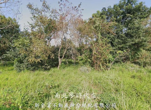 台南關廟農地-2