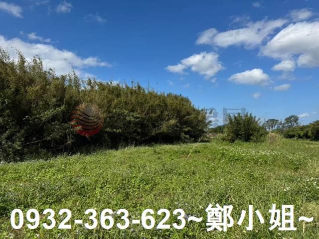 桃園大園農地-11