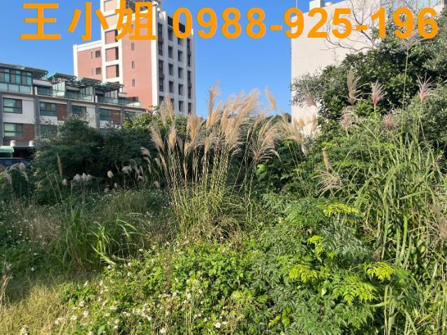 桃園觀音工業地-7