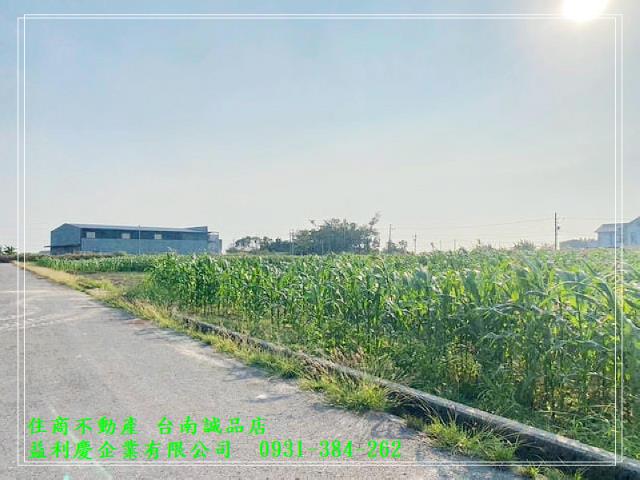 七股優質423坪農地