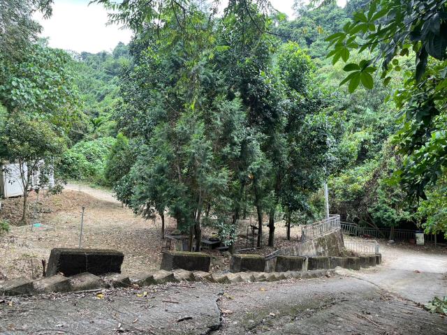 台中太平山坡地-7