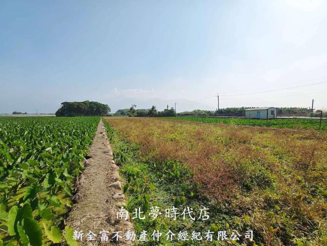 屏東高樹農地-8