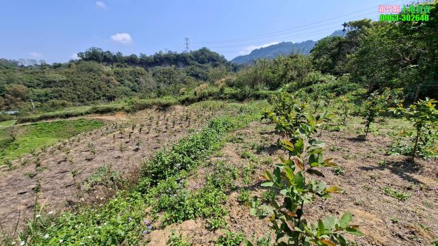 北埔農地-5