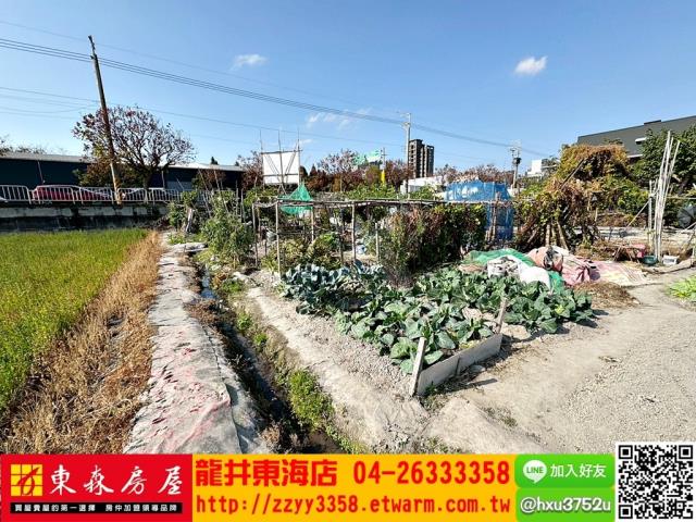 台中西屯農地-3