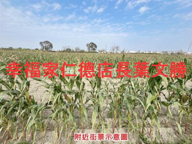 台南七股農地-11