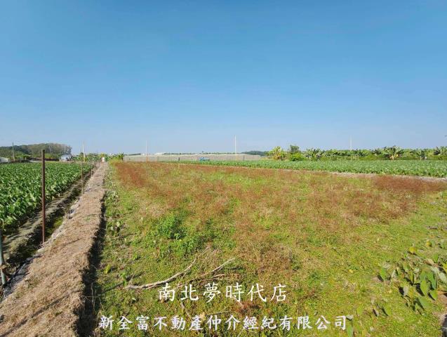 屏東農地-3