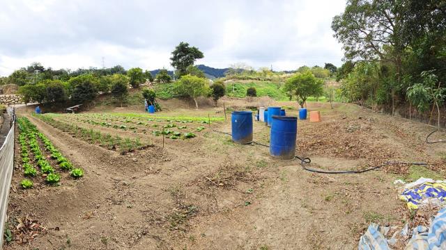 新竹北埔農地-1