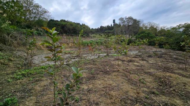 新竹北埔農地-10