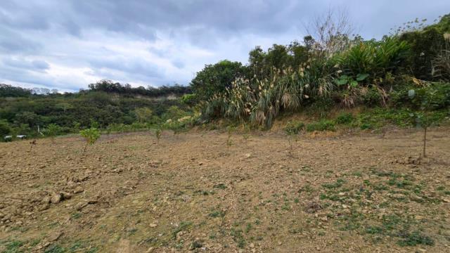 新竹北埔農地-11