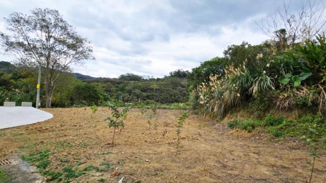 新竹北埔農地-3