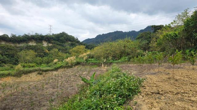 新竹北埔農地-4