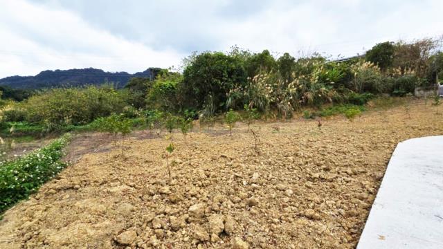 新竹北埔農地-7