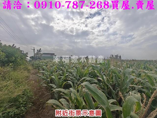 台南佳里農地-11