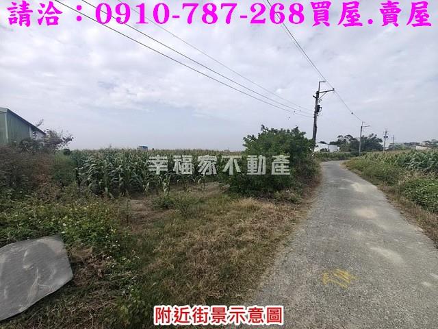 台南佳里農地-9