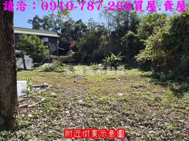 高雄仁武農地-7