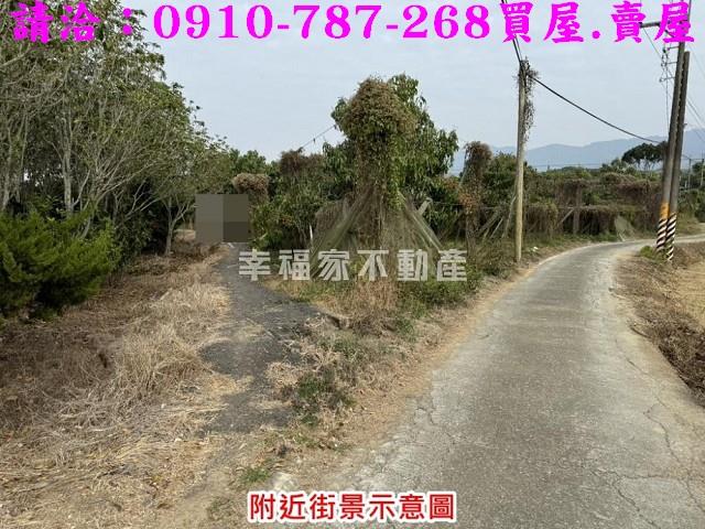 台南楠西農地-2