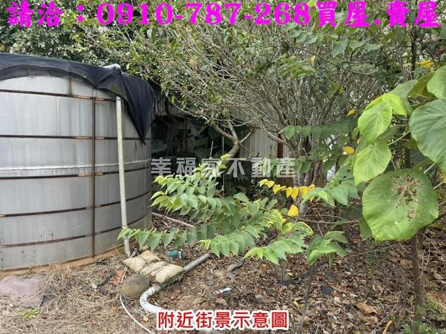 台南楠西農地-9