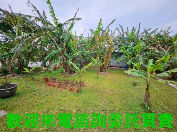 新北三芝農地-4