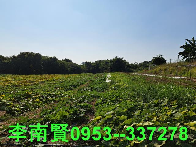 台南農地-7