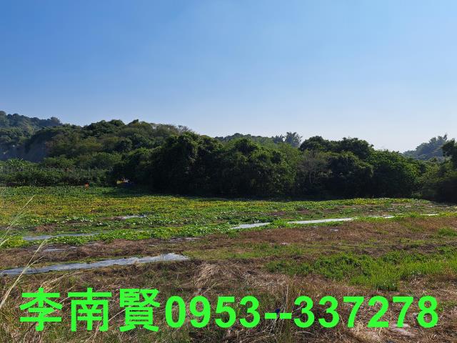 台南農地-9