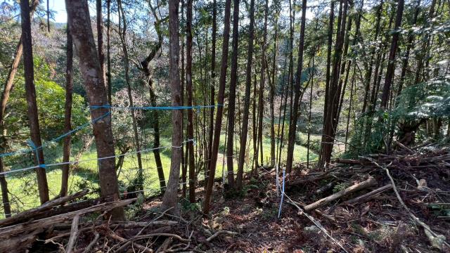 新竹竹東農地-15