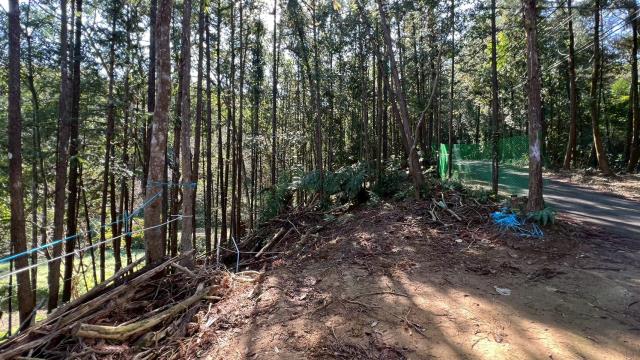 新竹竹東農地-14