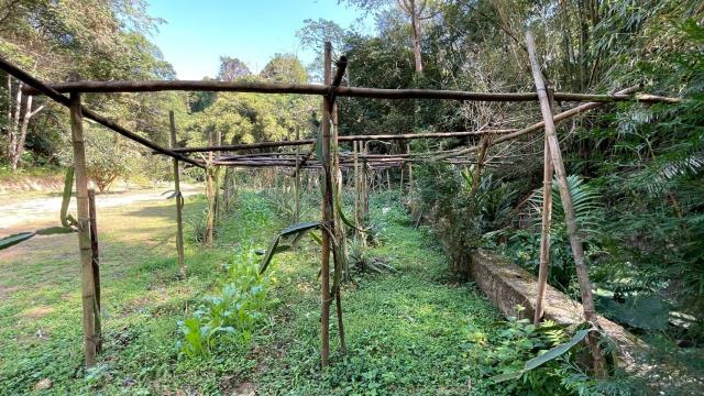 新竹峨眉農地-11