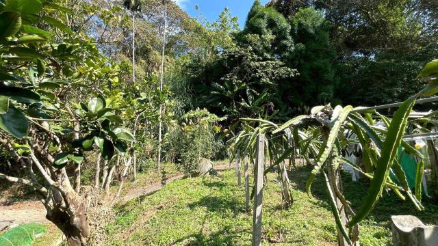 新竹峨眉農地-12